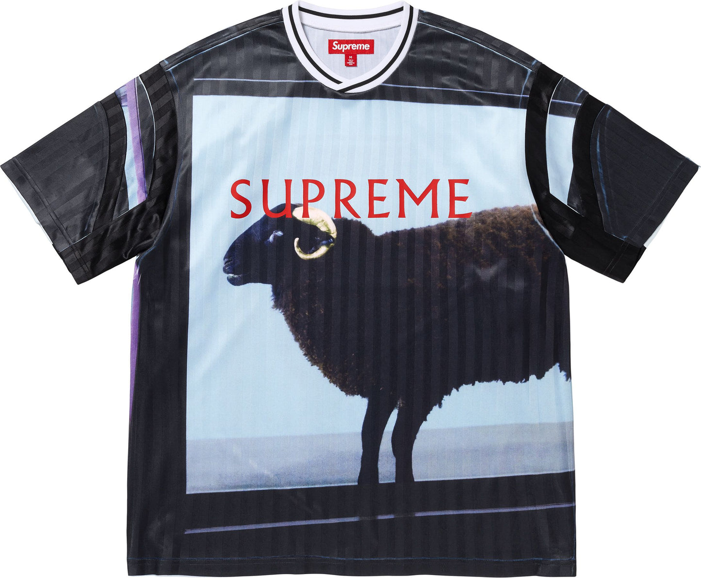 SUPREME/DAMIEN HIRST SOCCER JERSEY