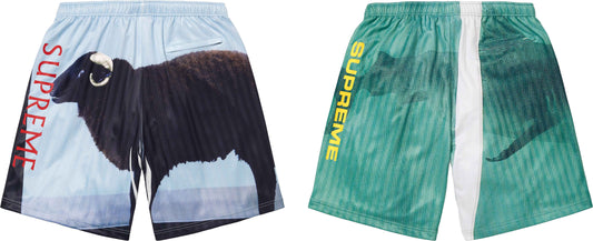 SUPREME/DAMIEN HIRST SOCCER SHORT