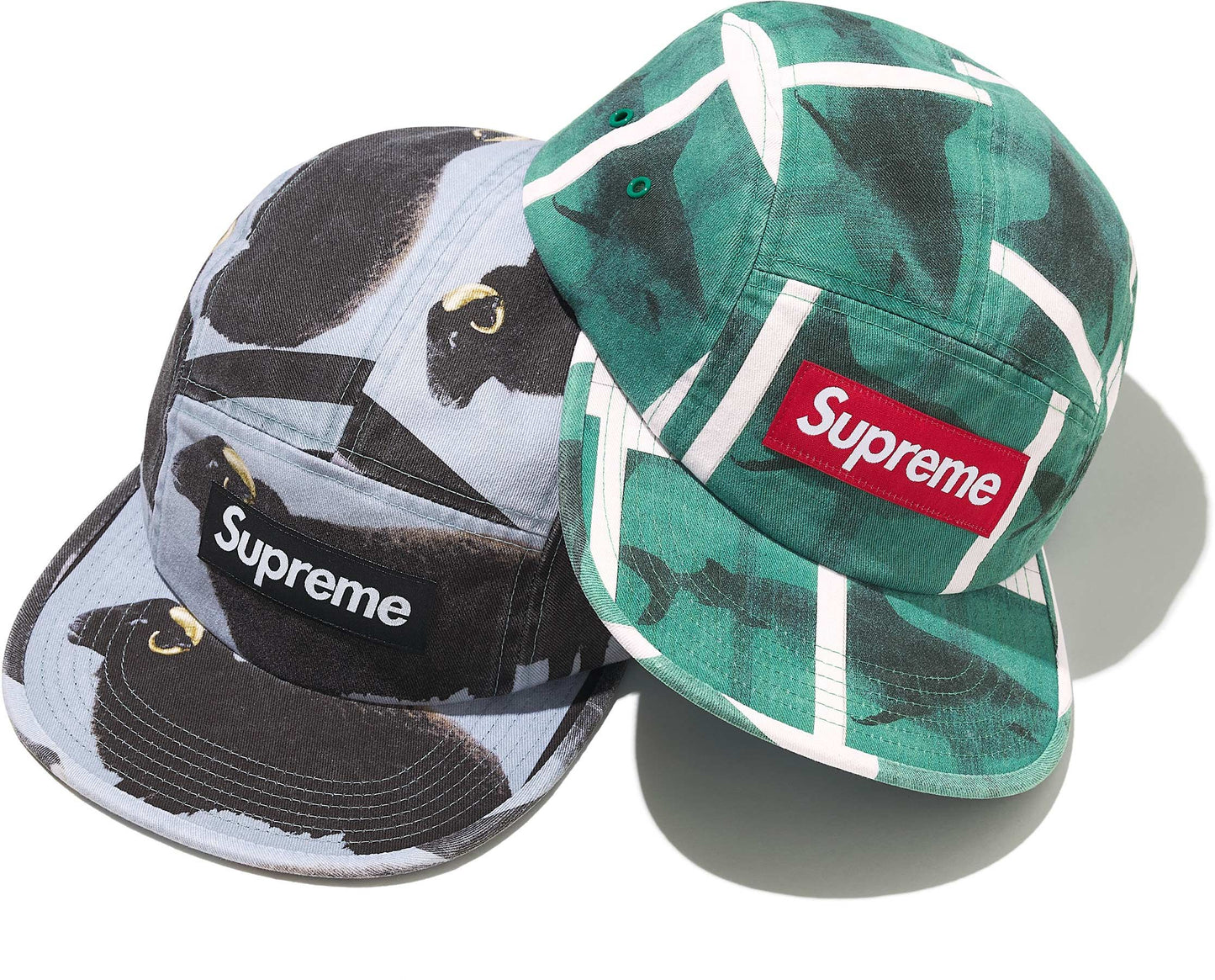 SUPREME/DAMIEN HIRST CAMP CAP
