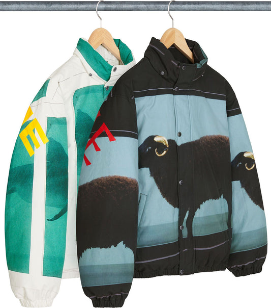 SUPREME/DAMIEN HIRST DOWN PUFFER JACKET