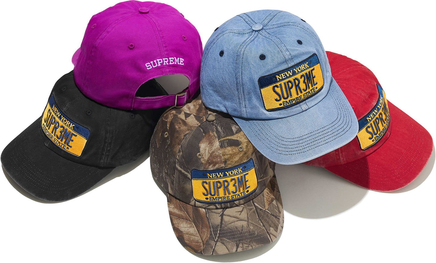 LICENSE PLATE 6-PANEL