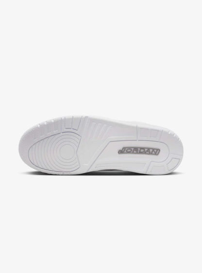 AIR JORDAN 3 RETRO PURE MONEY (2025)