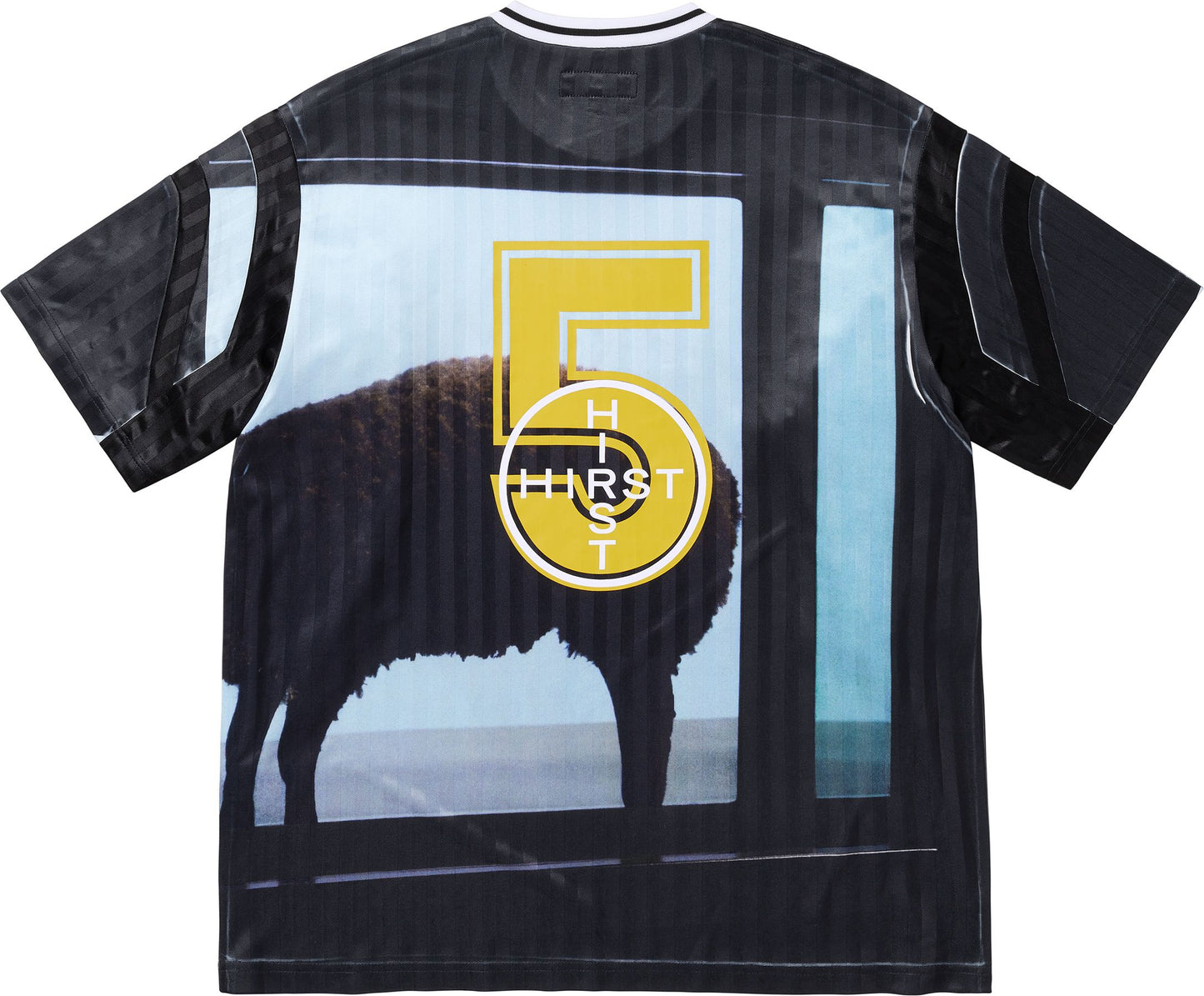SUPREME/DAMIEN HIRST SOCCER JERSEY