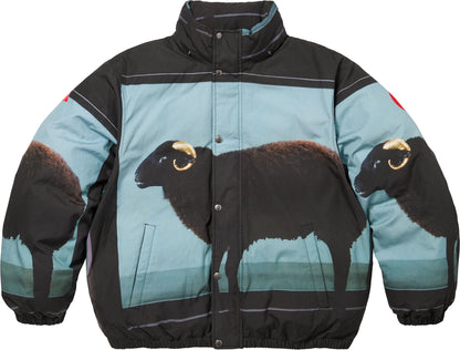SUPREME/DAMIEN HIRST DOWN PUFFER JACKET