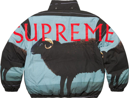 SUPREME/DAMIEN HIRST DOWN PUFFER JACKET