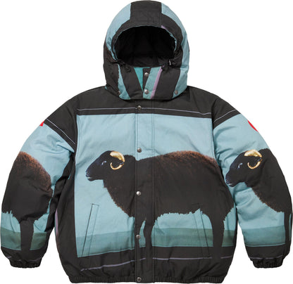 SUPREME/DAMIEN HIRST DOWN PUFFER JACKET