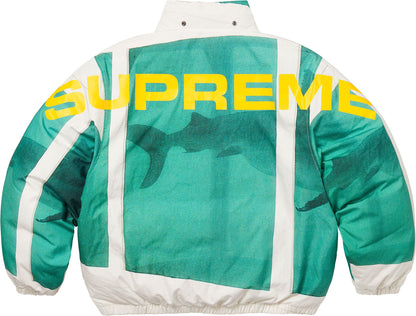 SUPREME/DAMIEN HIRST DOWN PUFFER JACKET