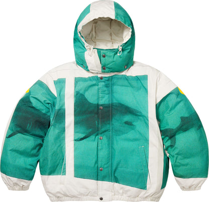 SUPREME/DAMIEN HIRST DOWN PUFFER JACKET