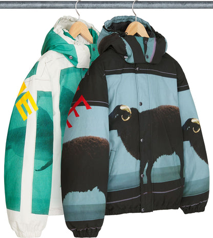 SUPREME/DAMIEN HIRST DOWN PUFFER JACKET
