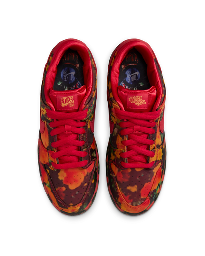 Nike SB Dunk Low Pro The Wizard of Oz